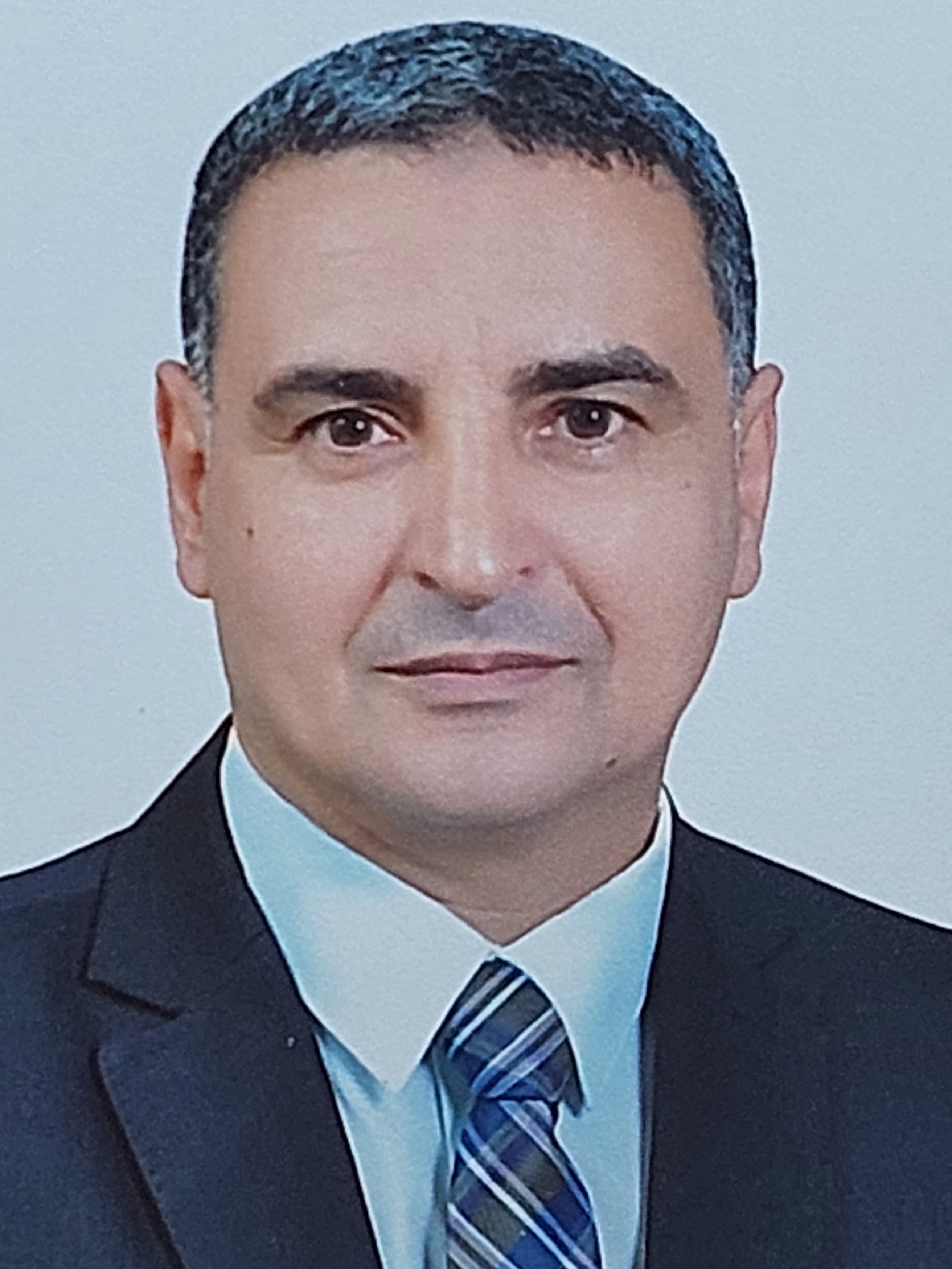 الأستاذ الدكتور / محمد عبدالحميد محمد شرشير